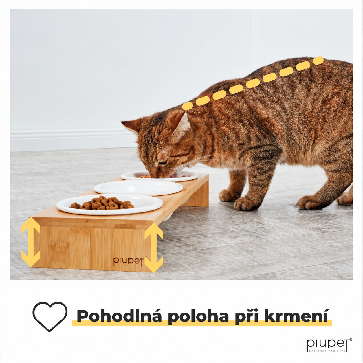 PIUPET CAMI 3× keramická miska pro kočky s bambusovým stojanem 250 ml